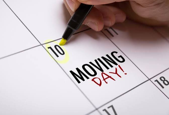 Removalists North Shore